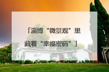 淄博“微景观”里藏着“幸福密码”
