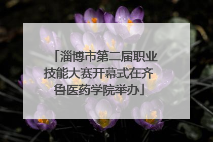 淄博市第二届职业技能大赛开幕式在齐鲁医药学院举办