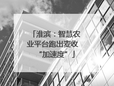 淮滨：智慧农业平台跑出麦收“加速度”