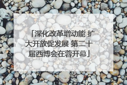 深化改革增动能 扩大开放促发展 第二十届西博会在蓉开幕