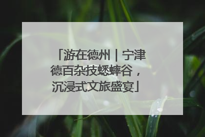 游在德州｜宁津德百杂技蟋蟀谷，沉浸式文旅盛宴