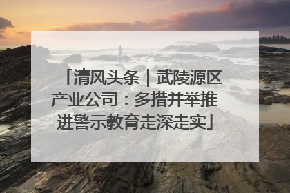 清风头条｜武陵源区产业公司：多措并举推进警示教育走深走实
