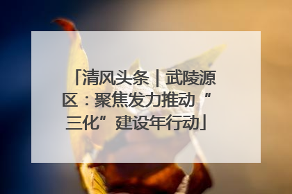 清风头条｜武陵源区：聚焦发力推动“三化”建设年行动