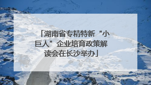湖南省专精特新“小巨人”企业培育政策解读会在长沙举办