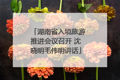 湖南省入境旅游推进会议召开 沈晓明毛伟明讲话