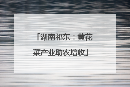 湖南祁东：黄花菜产业助农增收