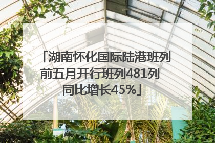 湖南怀化国际陆港班列前五月开行班列481列 同比增长45%