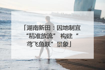 湖南新田：因地制宜“精准放流” 构建“鸢飞鱼跃”景象