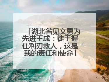 湖北省见义勇为先进王成：徒手握住利刃救人，这是我的责任和使命