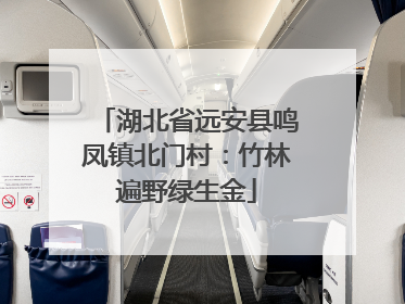 湖北省远安县鸣凤镇北门村：竹林遍野绿生金
