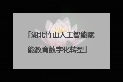 湖北竹山人工智能赋能教育数字化转型