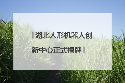 湖北人形机器人创新中心正式揭牌
