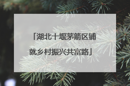 湖北十堰茅箭区铺就乡村振兴共富路