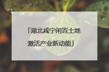 湖北咸宁闲置土地激活产业新动能
