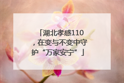 湖北孝感110，在变与不变中守护“万家安宁”