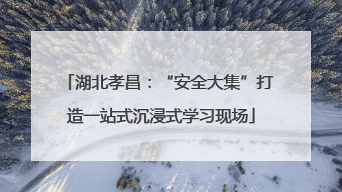 湖北孝昌：“安全大集”打造一站式沉浸式学习现场