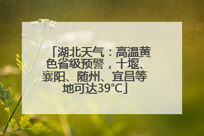 湖北天气：高温黄色省级预警，十堰、襄阳、随州、宜昌等地可达39℃
