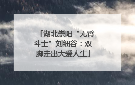 湖北崇阳“无臂斗士”刘细谷：双脚走出大爱人生