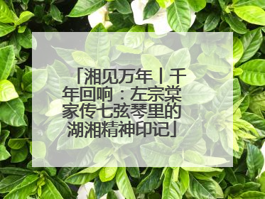 湘见万年丨千年回响：左宗棠家传七弦琴里的湖湘精神印记