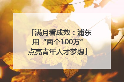 满月看成效：浦东用“两个100万”点亮青年人才梦想