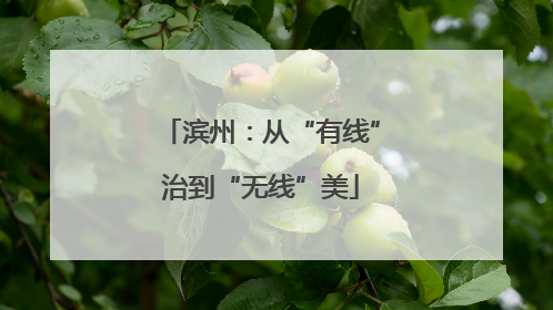 滨州：从“有线”治到“无线”美
