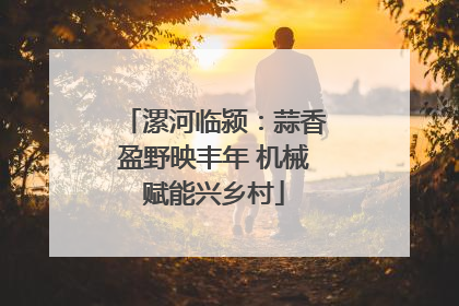 漯河临颍：蒜香盈野映丰年 机械赋能兴乡村