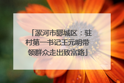 漯河市郾城区：驻村第一书记王元明带领群众走出致富路