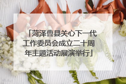 菏泽曹县关心下一代工作委员会成立二十周年主题活动展演举行