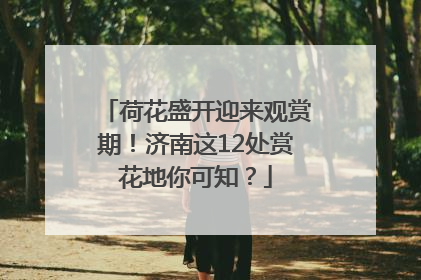 荷花盛开迎来观赏期！济南这12处赏花地你可知？