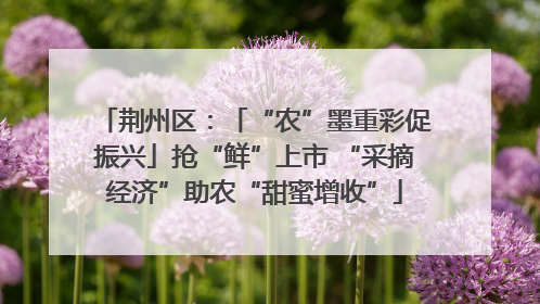 荆州区：「“农”墨重彩促振兴」抢“鲜”上市 “采摘经济”助农“甜蜜增收”