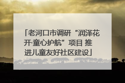 老河口市调研“润泽花开·童心护航”项目 推进儿童友好社区建设