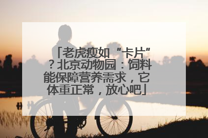 老虎瘦如“卡片”？北京动物园：饲料能保障营养需求，它体重正常，放心吧