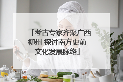 考古专家齐聚广西柳州 探讨南方史前文化发展脉络