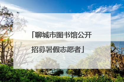 聊城市图书馆公开招募暑假志愿者