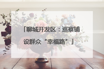 聊城开发区：巡察铺设群众“幸福路”