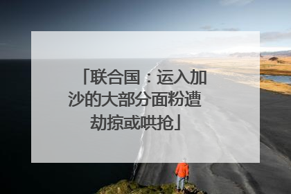 联合国：运入加沙的大部分面粉遭劫掠或哄抢