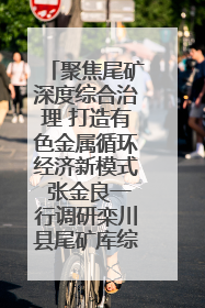 聚焦尾矿深度综合治理 打造有色金属循环经济新模式 张金良一行调研栾川县尾矿库综合治理工作