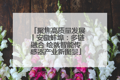 聚焦高质量发展丨安徽蚌埠：多链融合 绘就智能传感器产业新图景