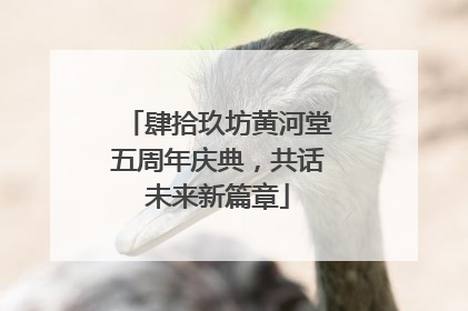 肆拾玖坊黄河堂五周年庆典，共话未来新篇章
