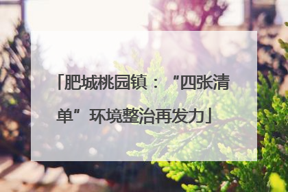 肥城桃园镇：“四张清单”环境整治再发力