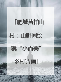 肥城黄柏山村：山野间绘就“小而美”乡村诗画