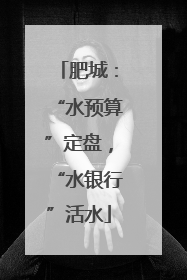 肥城：“水预算”定盘，“水银行”活水