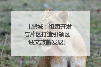 肥城：组团开发与片区打造引领区域文旅新发展