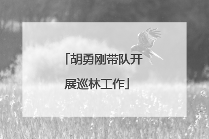 胡勇刚带队开展巡林工作