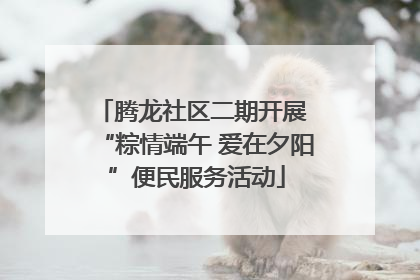 腾龙社区二期开展 “粽情端午 爱在夕阳”便民服务活动