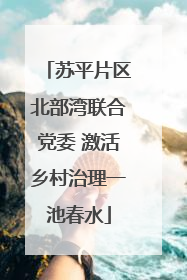 苏平片区北部湾联合党委 激活乡村治理一池春水