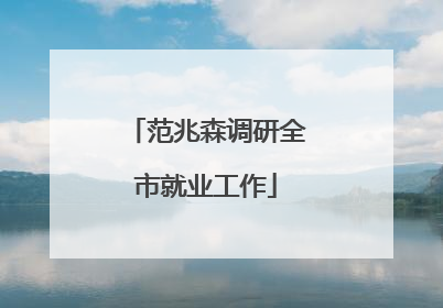 范兆森调研全市就业工作