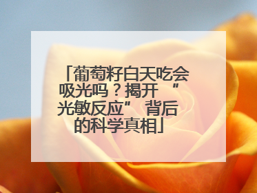 葡萄籽白天吃会吸光吗？揭开 “光敏反应” 背后的科学真相