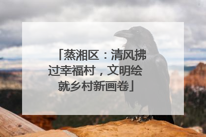 蒸湘区：清风拂过幸福村，文明绘就乡村新画卷