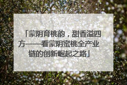 蒙阴育桃韵，甜香溢四方——看蒙阴蜜桃全产业链的创新崛起之路